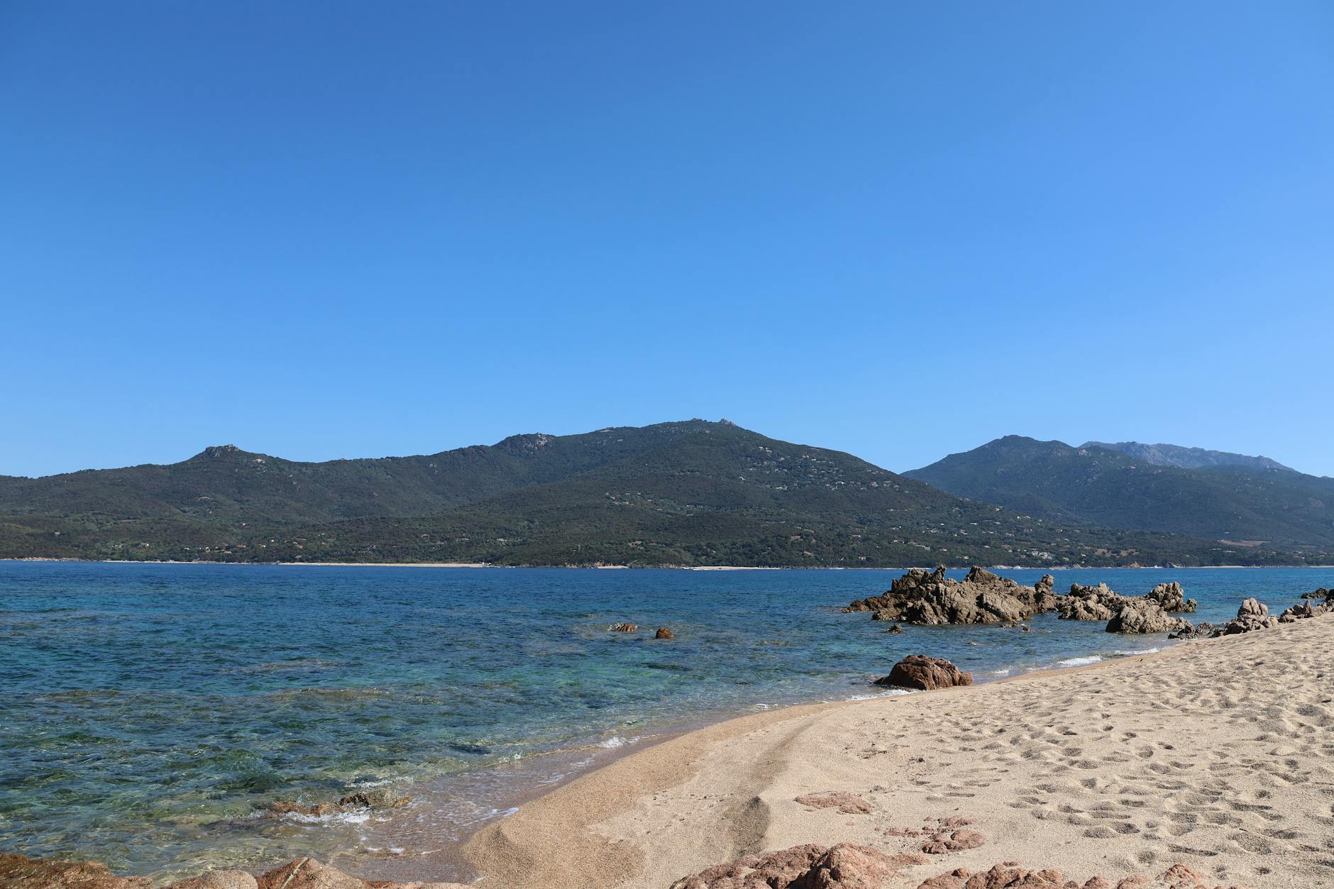 plage de sable blanc aux eaux turquoise en Corse-du-Sud entourée de maquis
