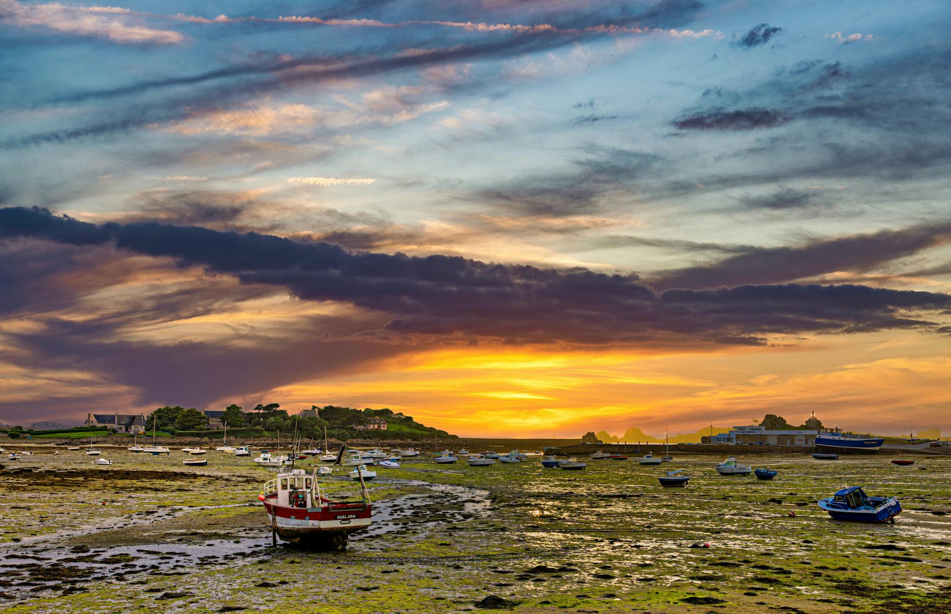 Estuaire de la baie de Somme au coucher du soleil avec phoques sur banc de sable
