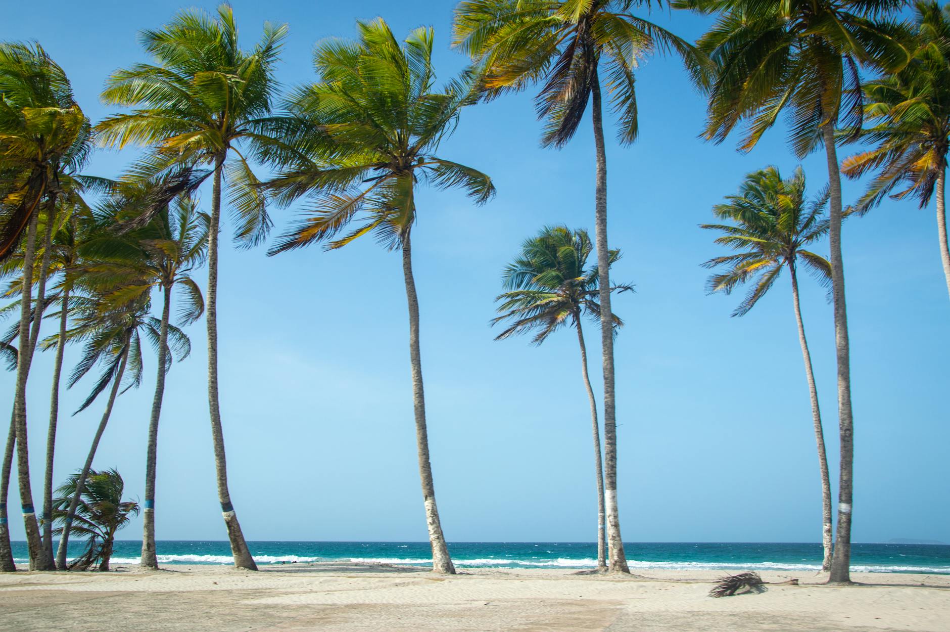 Où partir en février au soleil : 15 destinations triées sur le volet pour fuir l’hiver ?