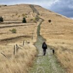 Pèlerin avec sac à dos sur le chemin de Compostelle en Espagne