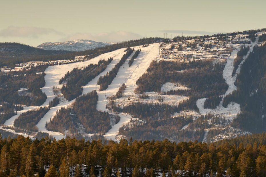 Pistes enneigées de Camurac dans les Pyrénées audoises en hiver