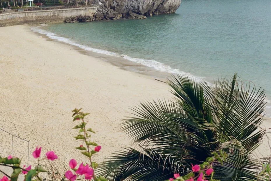 Carte postale manuscrite posée sur une serviette de plage au soleil