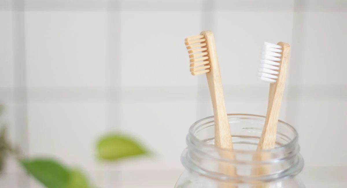 Illustration, brosse à dents de voyage