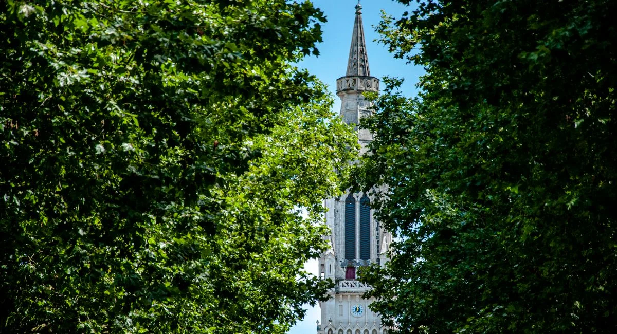 La jungle intérieure du voyage à nantes révèle comment evor a capturé l’essence végétale au cœur de la ville