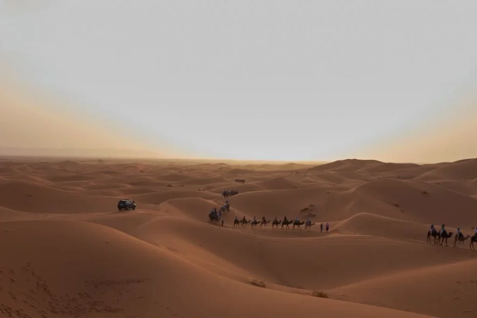 Groupe en bivouac face aux dunes du désert marocain