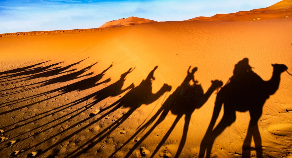 Shadows of camels and riders stretch across sunlit Sahara desert dunes, evoking adventure.