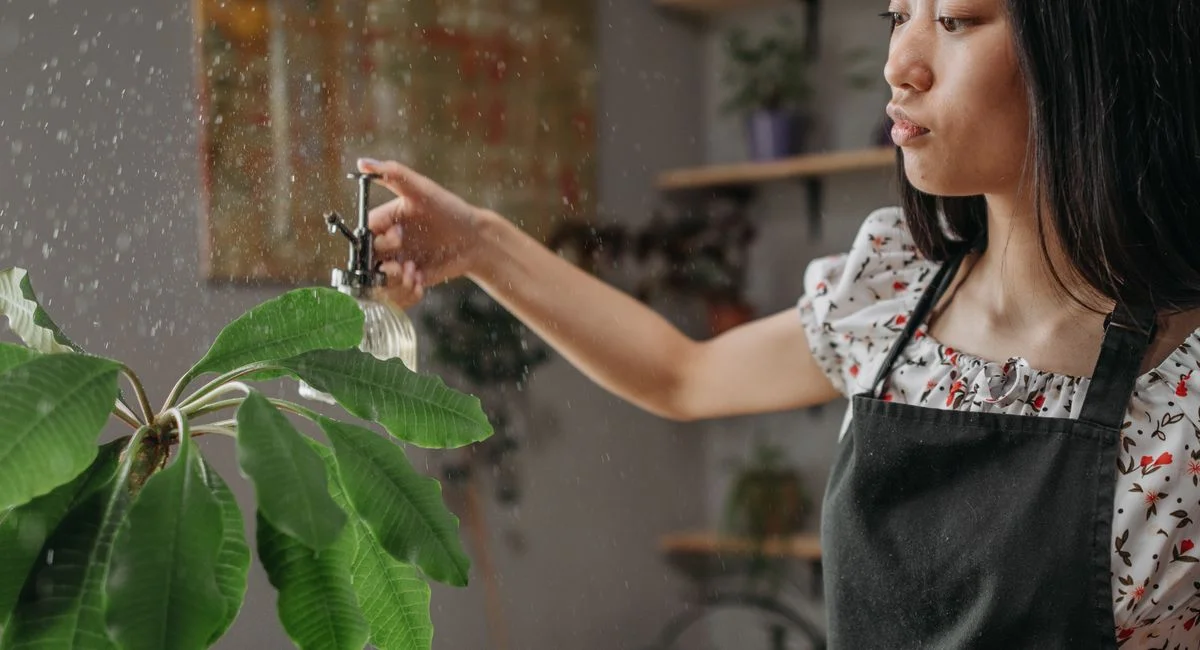 Le bon plan pour arroser ses plantes quand on part en vacances sans se compliquer la vie